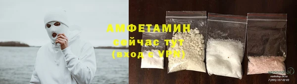 сатива Балахна
